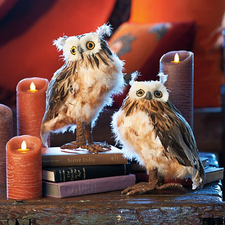 Feathered Owl Halloween Harvest Decoration-Set of 2